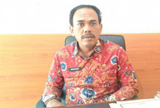 Pengajuan Pemberhentian ASN Resmi Online Mulai 1 Agustus 2026, BKPSDM Mukomuko Tegaskan Bukan Pemecatan Massal