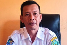 Honor THLT di Lebong Baru Dibayar 3 Bulan, Ini Penyebabnya 