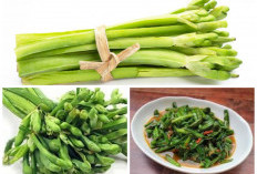 Jangan Remehkan Sayur Genjer, Menjaga Daya Tahan Tubuh dan Banyak Khasiat  Untuk Kesehatan 