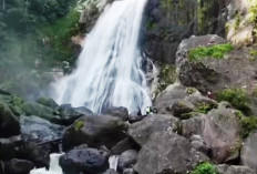  Disparpora Lebong Tinjau Air Terjun Paliak    
