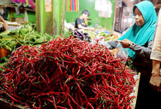 Harga Beras dan Cabai Naik, Cabai Merah Tembus Rp 100 Ribu/Kg, Ini Penyebabnya