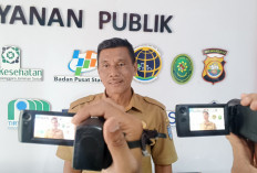  Realisasi Investasi Bengkulu Utara   2025 Tembus Rp 550 Miliar, Didominasi PMDN