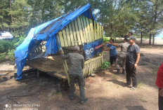 Deadline Berakhir, Pemkot Bengkulu Bongkar Lapak Pedagang di Pantai Panjang