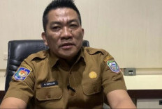 Kesiapsiagaan Bencana,   Seluma Beli 2 Alat Berat 