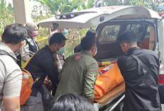 Polres Sudah Periksa 11 Saksi, Pembunuhan Sadis di Curup Masih Misteri 