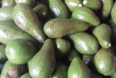 Turunkan Gula Darah Secara Alami, Konsumsi Buah Ini