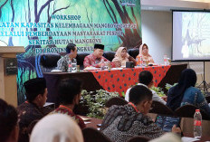   Kolaborasi Jaga Mangrove Tingkatkan Ekonomi, Ini Pesan Gubernur Bengkulu