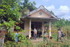 BREAKING NEWS: Seorang Wanita Muda di Curup Ditemukan Bersimbah Darah, Diduga Korban Pembunuhan