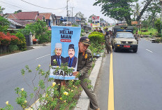 Melanggar, Satpol PP   Turunkan Baliho Paslon, Segini Jumlahnya