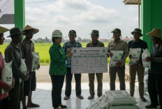 Harga Pupuk Subsidi Turun 20 Persen, Dinas Pertanian Mukomuko Pastikan Kios Patuh pada HET Terbaru