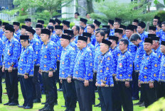 Pertalite Diklaim Turun Signifikan, Pemerintah Perpanjang WFH hingga 2 Bulan