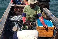 Nelayan di Mukomuko Belum Kantongi Kusuka, Ini Penyebabnya