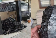Viral, Penggalian Septic Tank di Teras Rumah, Warga Kalimantan Temukan Bongkahan Batu Bara 
