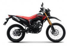 Astra Motor Bengkulu Tawarkan Promo Spesial untuk Honda CRF150L Selama September 2025