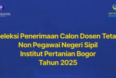 Lowongan Kerja, IPB Rekrut 100 Calon Dosen Tetap Non PNS,  Cek Link dan Syaratnya Disini 