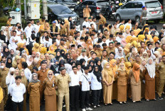 PPPK Tak Disiplin di Kota Bengkulu erancam Diberhentikan