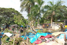 Pohon Timpa Empat Warung, 1 Warga Terluka Kejadiannya di Objek Wisata Ini di Kota Bengkulu