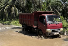 Desa Pasar Seluma Butuhkan Peningkatan Jalan dan Irigasi