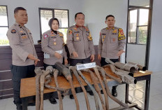 Hasil Operasi Patuh Nala 2024 Polres Benteng, Puluhan Knalpot Brong Diamankan