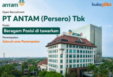 PT Antam Buka Lowongan Kerja untuk Fresh Graduate, Cek Syaratnya 