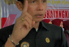 Bupati Kaur Apresiasi Satpol PP, Penegakan Perda Ternak Berhasil dan Tambah PAD