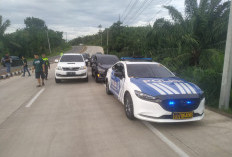 Meet Up Tingkatkan Eksistensi Otomotif, Pecinta Modifikasi Mobil Pertemuan di Rest Area TOL Bengkulu  