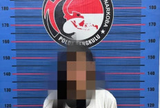 Satu Perempuan dan 1 Pria Pengedar Narkoba Dibekuk, 43 Paket Ganja dan 19 Paket Sabu Disita
