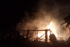 Si Jago Merah Beraksi, 2  Rumah di Tanjung Ganti 1 Kaur Ludes 