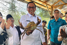 Pejabat Seluma Dievaluasi, Selangkah Lagi Gerbong Mutasi Bergulir