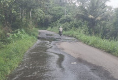  Pemkab Kepahiang Tanggung   Iuran BPJS Tenaga Kerja Buruh, Segini Jumlahnya