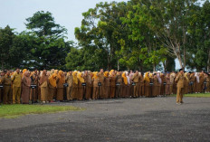 Tegakan Disiplin Kerja, Bupati Seluma Pantau ASN Datang Absen Lalu Pulang hingga SPT DL Bodong