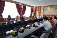 Kawal Tata Kelola Pemerintahan, BPKP Mulai Awasi Perizinan