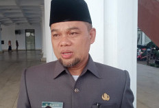 Replanting Baru 15 Persen, Ini Keterangan Kepala Dinas TPHP Provinsi Bengkulu