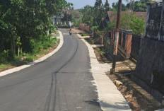 Kades Karang Anyar I Apresiasi   Pemkab BU Bangun Jalan Lingkungan, Siap Jadi Ujung Tombak Sukseskan Prog