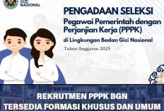  Badan Gizi Nasional Buka Lowongan Kerja PPPK 2025,Segini  Formasi serta Estimasi Besaran Gajinya