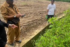 Dugaan Korupsi DD Bandar Agung Terus Didalami, Penyidik Turun Cek Pekerjaan Desa