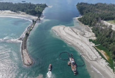 Kapal Keruk Bersenggolan di Pelabuhan Pulaubaai Bengkulu Dipastikan Aman, Pengerukan Alur Berjalan Normal