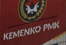 Kemenko PM Rekrut Pegawai Non PNS, Cek Syarat dan Tugasnya 