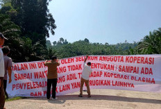 Jalan Menuju Pabrik CPO Ditutup, Kapolres Kaur Imbau Begini