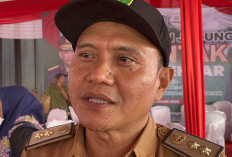 Susah Didapat, Pupuk   Subsidi Diawasi Timsus