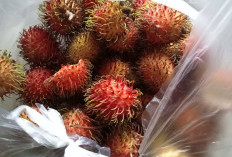 Musim Rambutan Tiba, Ini Orang yang Tidak Boleh Mengonsumsinya