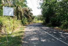 Ruas Jalan Karang Tinggi-Pelajau Diperbaiki, Segini Anggarannnya