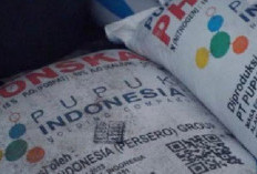 Harga Pupuk Diatas HET, Petani di Seluma Meradang