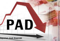 Potensi PAD Rp 62 Miliar Dimaksimalkan, Begini Cara BKD Mukomuko 