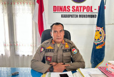 Antipasi Ternak Liar, Satpol PP Mukomuko Perketat Pengawasan