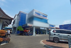 KUR BRI Rp 50 Juta, Tenor hingga 5 Tahun, Angsuran Ringan, Berikut Tips Agar Mudah Lolos Tahap Survei