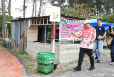 Galakkan Program Sadar Sampah, Dinas Pariwisata Kota Bengkulu Bertujuan Wujudkan Objek Wisata Bersih