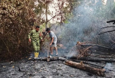 Kebakaran Hutan di Kaur Selatan, Babinsa Koramil 408-04/KS Gerak Cepat Bantu Padamkan Api