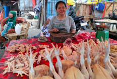 Harga Ayam Melonjak, Tembus Rp45 Ribu per Kilogram