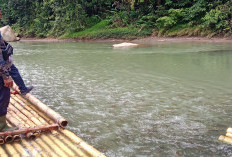 Desa Taba Lubuk Puding   Fokus Jadikan Desa Wisata